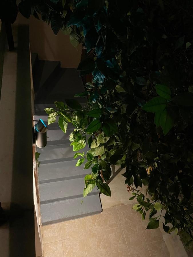 Maria'S Haus In Artemida Apartment ภายนอก รูปภาพ